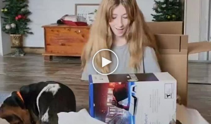 A girl was given a PlayStation 5 for Christmas. Her dog didn’t appreciate the gift.