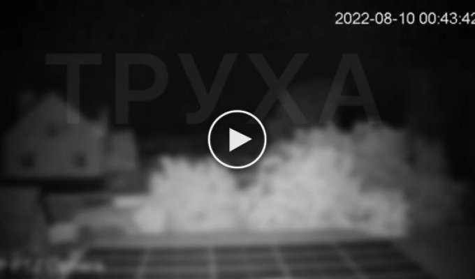 Ночной ПЗДЦ в Николаеве попал на камеру