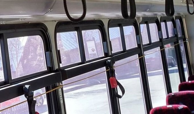 Зачем нужна желтая веревка в автобусах США (4 фото)