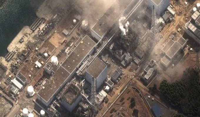 АЭС Фукусима-1 сейчас (10 фото)