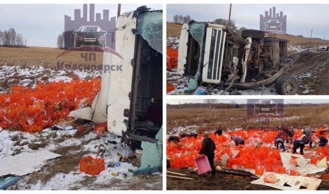 Праздник к нам приходит: после аварии с фурой россияне запаслись бесплатными мандаринами (2 фото + 1 видео)