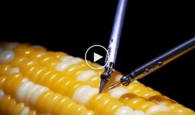 Невероятные навыки нейрохирургов