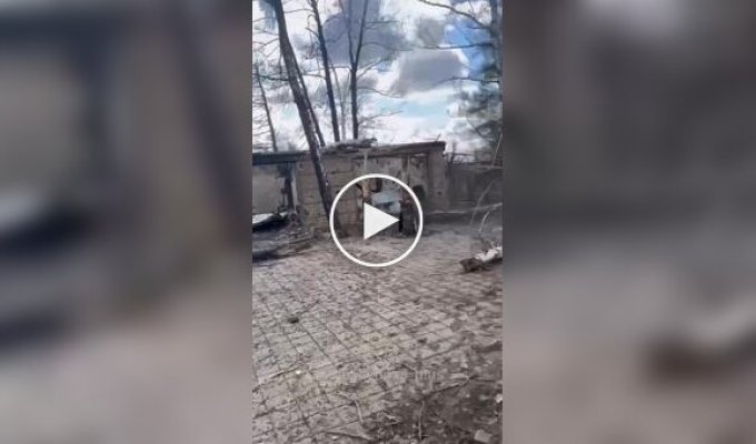 Occupiers are surprised by the wealth of a house in a Ukrainian village