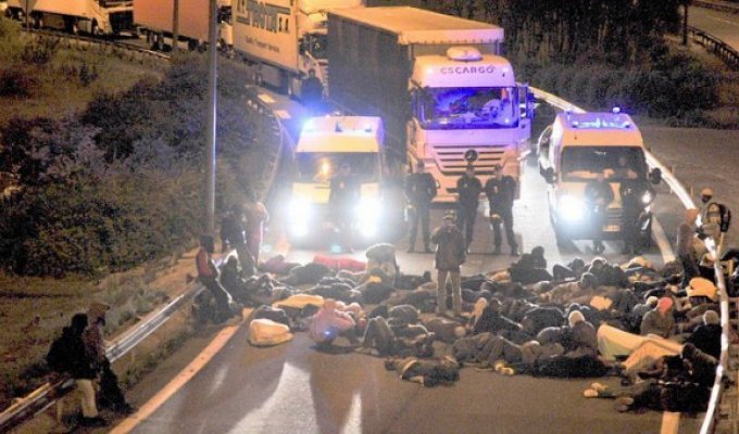 Мигранты продолжают атаки в Кале (14 фото)