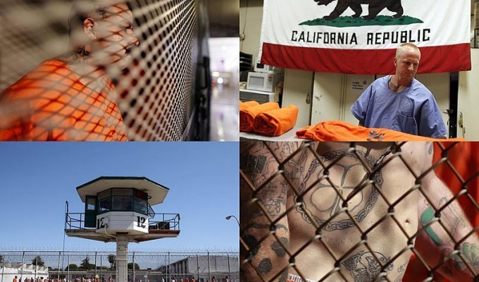 Переполненные тюрьмы Калифорнии: Тысячи преступников выйдут на свободу?