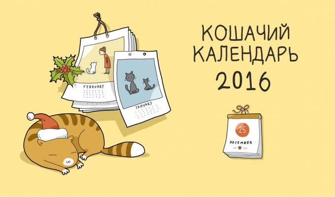 С этим кошачьим календарём на 2016 год вы круглый год будете улыбаться по утрам (13 фото)