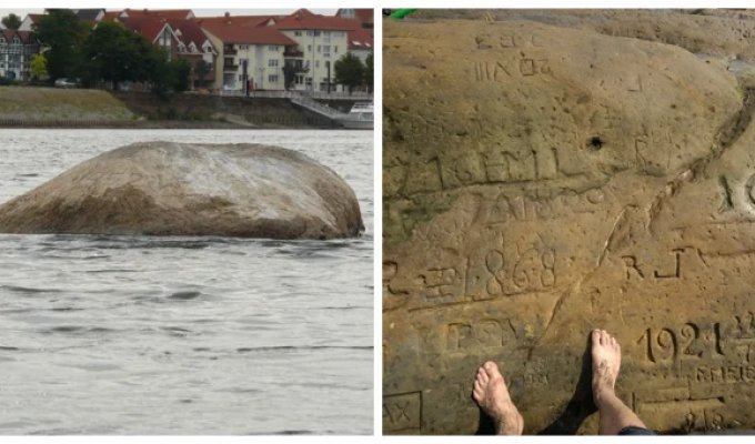 Голодные камни Эльбы и их мрачные тайны (9 фото + 1 видео)