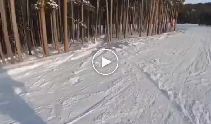 Unsuccessfully skied through the forest