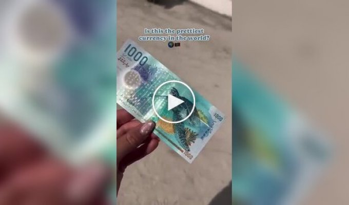 Одна з найкрасивіших купюр у світі