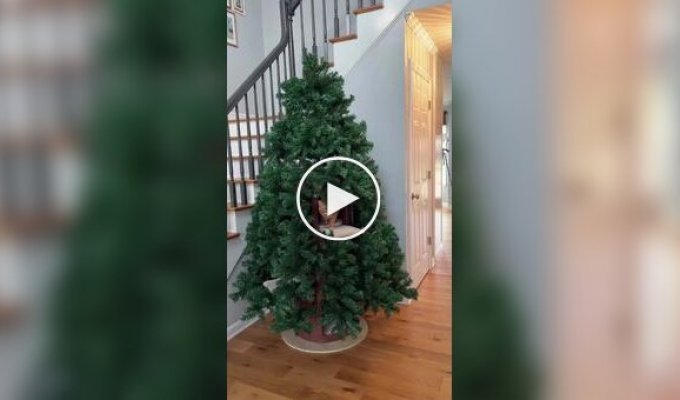 Новогодняя елка для котов