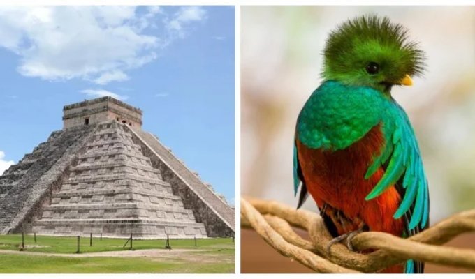 The Temple of Kukulkan - an ancient religious building and its living voices (8 photos + 1 video)