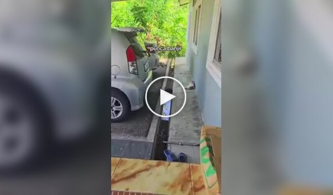 Кошка выбрала необычное место для сна