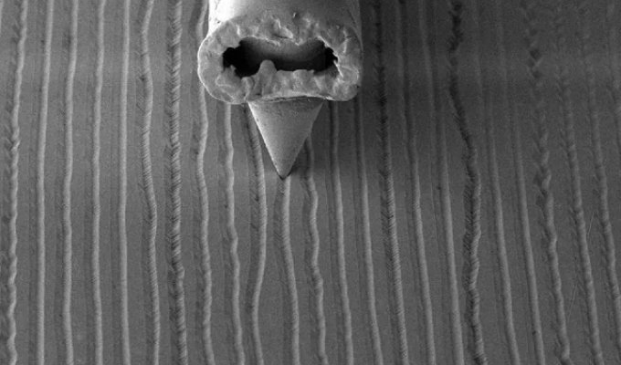 Microscopic images of a vinyl record and needle (4 photos)