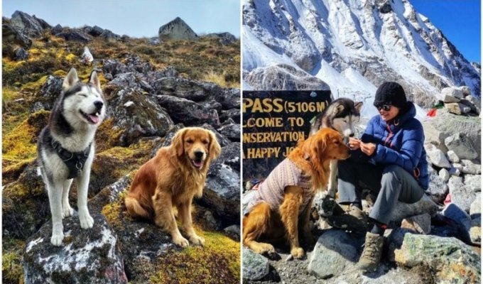Блогер отправился в горы с собаками - и показал удивительные фото из похода (23 фото + 1 видео)