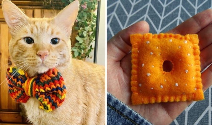 20 soulful gifts for animals made by owners (21 photos)