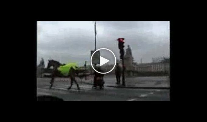 Лошадка, которая сбежала от полицейского