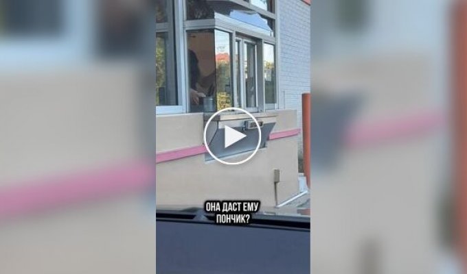 Вежливый енот в очереди за пончиком