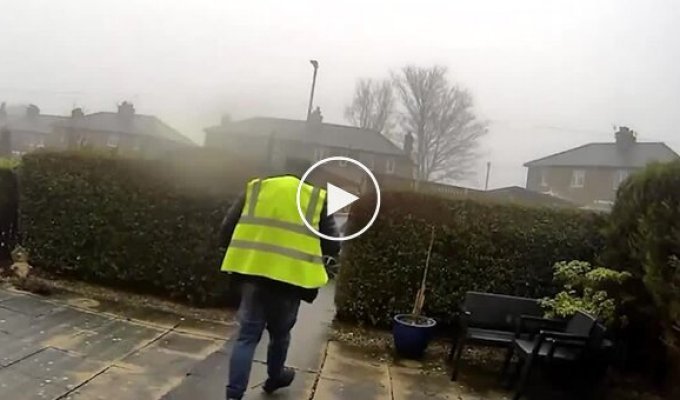 Курьер украл кошку клиента и попал на видео