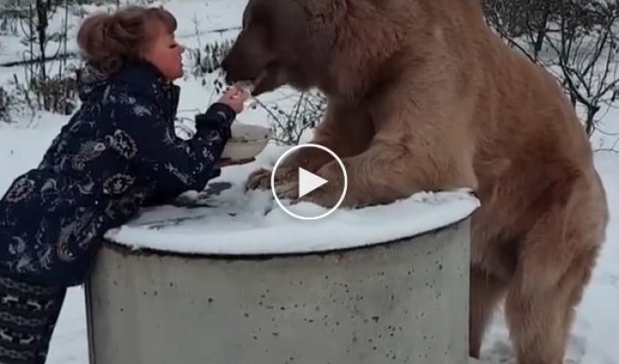 Когда завтракаешь с медведем