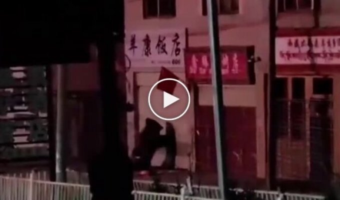 Голодные медведи залезли в ресторан в Китае