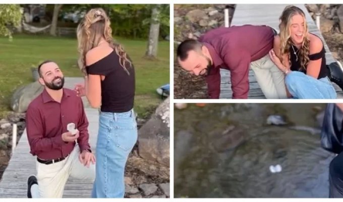 The perfect marriage proposal went wrong (4 photos + 1 video)