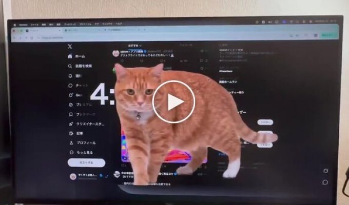 Кумедне розширення для браузера, що допомагає менше сидіти в соцмережах