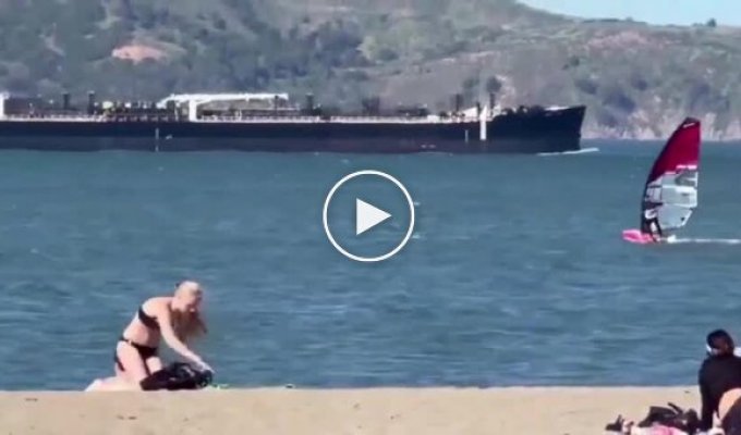 Виндсерфер врезался в кита в США