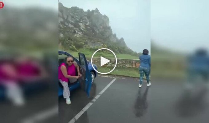 Мавпи в ПАР захопили чужу машину — туристам залишалося тільки спостерігати