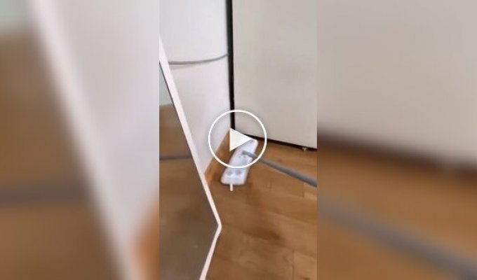 Weird Videos (Short Videos) Issue 41