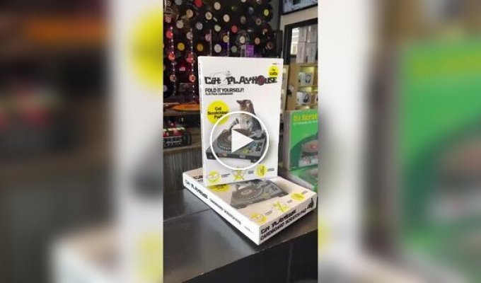 Кошачья когтеточка в виде диджейского пульта
