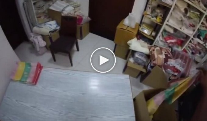 Искусственный интеллект обучается механике человеческих движений по видеороликам из Индии