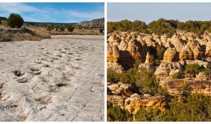 Picketwire Canyon Ancient Lizard Trail (15 photos + 1 video)