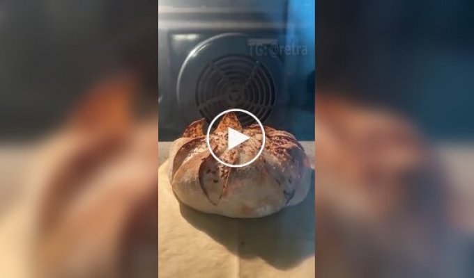 A treat for the eyes: baking bread and rolls