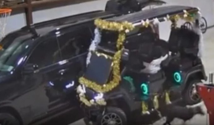 Пёс "угнал" гольфкар и врезался в автомобиль (2 фото + 1 видео)