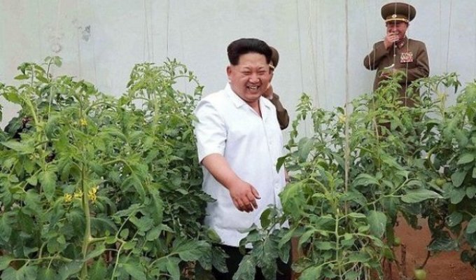 Советник президента Южной Кореи рассказал, что с Ким Чен Ыном