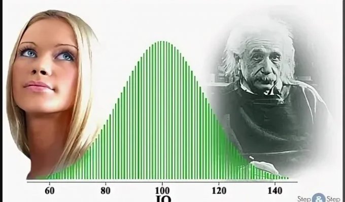 Названы некоторые признаки высокого IQ (2 фото)