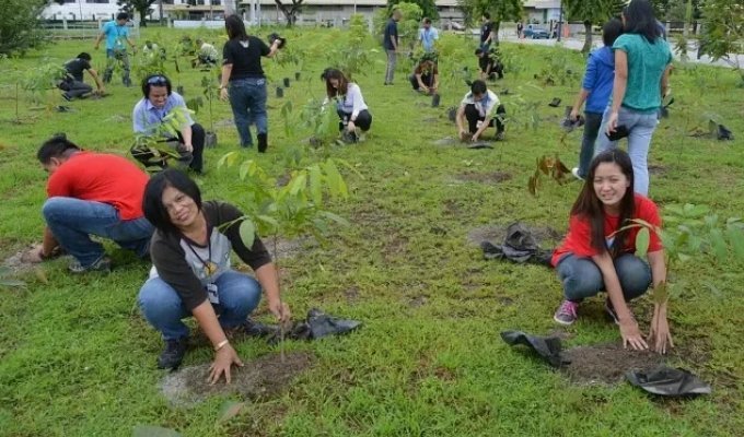 Until you plant a tree, you not a person – school law in the Philippines (5 photos)