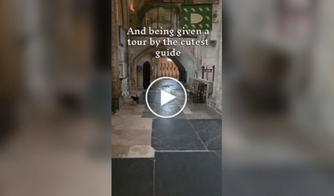 The most charming tour guide in the world was found in an ancient cathedral in the UK
