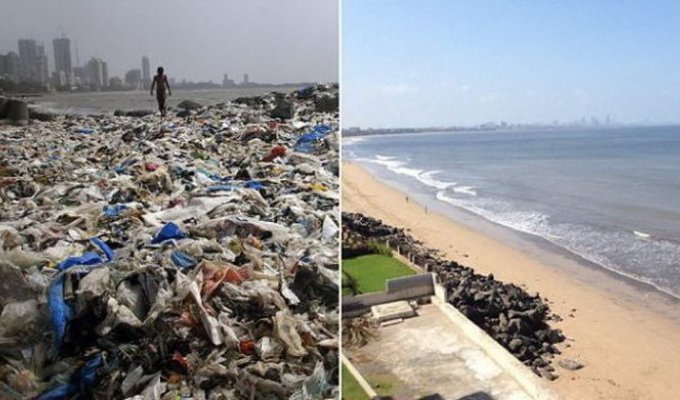 Волонтеры ликвидировали стихийную свалку на пляже Мумбая (5 фото)