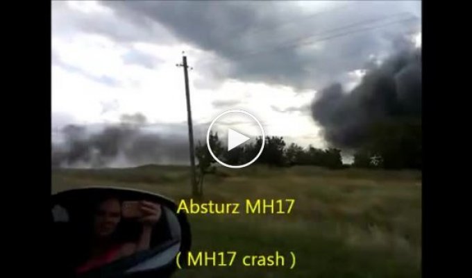 Новое видео сразу после крушения Boeing 777 на территории Украины