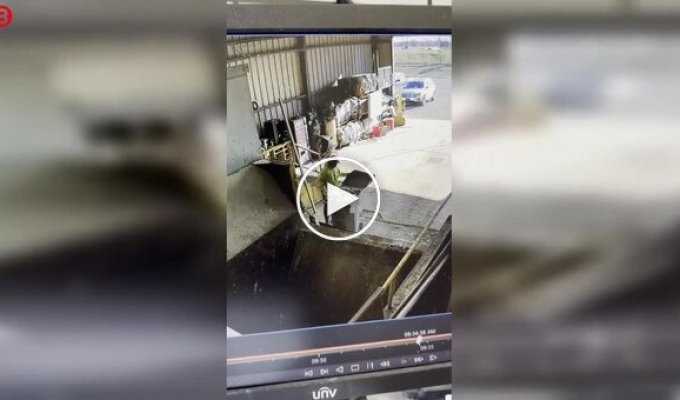 Вывоз мусора пошел не по плану