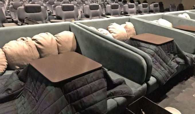 По-домашнему уютный кинотеатр в Японии (2 фото)