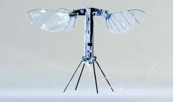 Инженеры создали робота-пчелу, летающую на солнечных батареях (3 фото + 1 видео)
