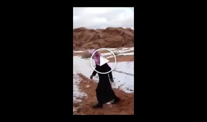 Первый снег в жизни Бедуина
