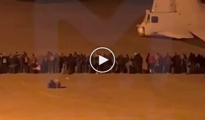 Появилось видео погрузки пушечного российского мяса в самолет