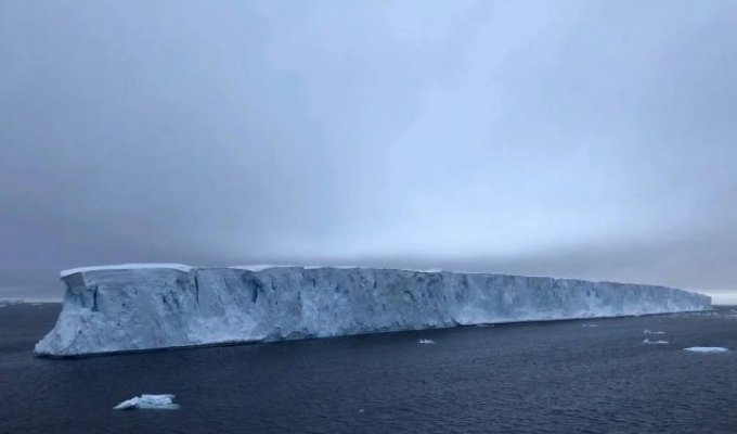 Айсберг, який можна порівняти за площею з двома мегаполісами, через 30 років почав рух. (4 фото)