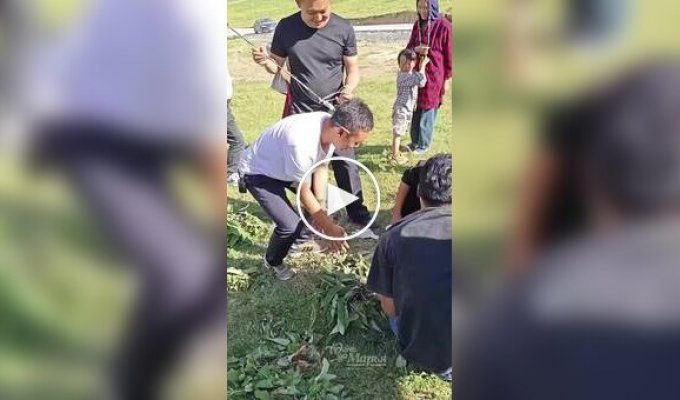 Сурок украл ключи от машины туриста в Китае