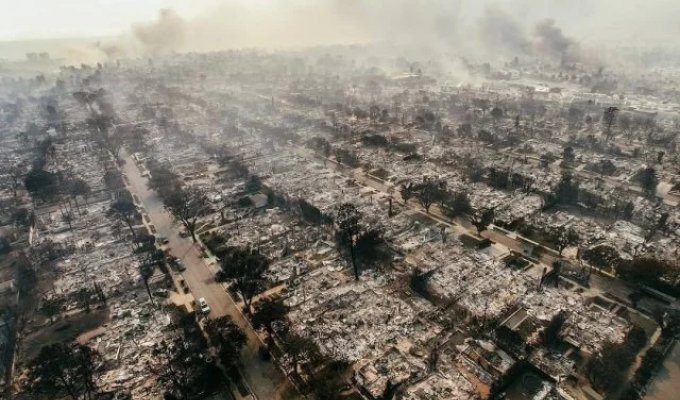 What the burned to the ground Pacific Palisades in Los Angeles looks like now (4 photos)