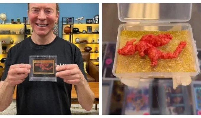 Мужчина установил рекорд Гиннеса за самую дорогую покупку чипсины (2 фото + 1 видео)