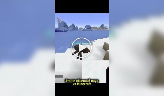Чоловік переніс свідомість мухи в павука з гри Minecraft